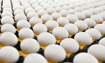 Минсельхоз проработает меры для стабильных цен на яйца