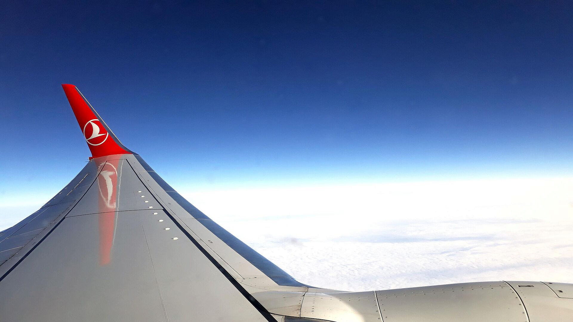 ������������ ����� � ������ Turkish Airlines �������� �� �������� � ������