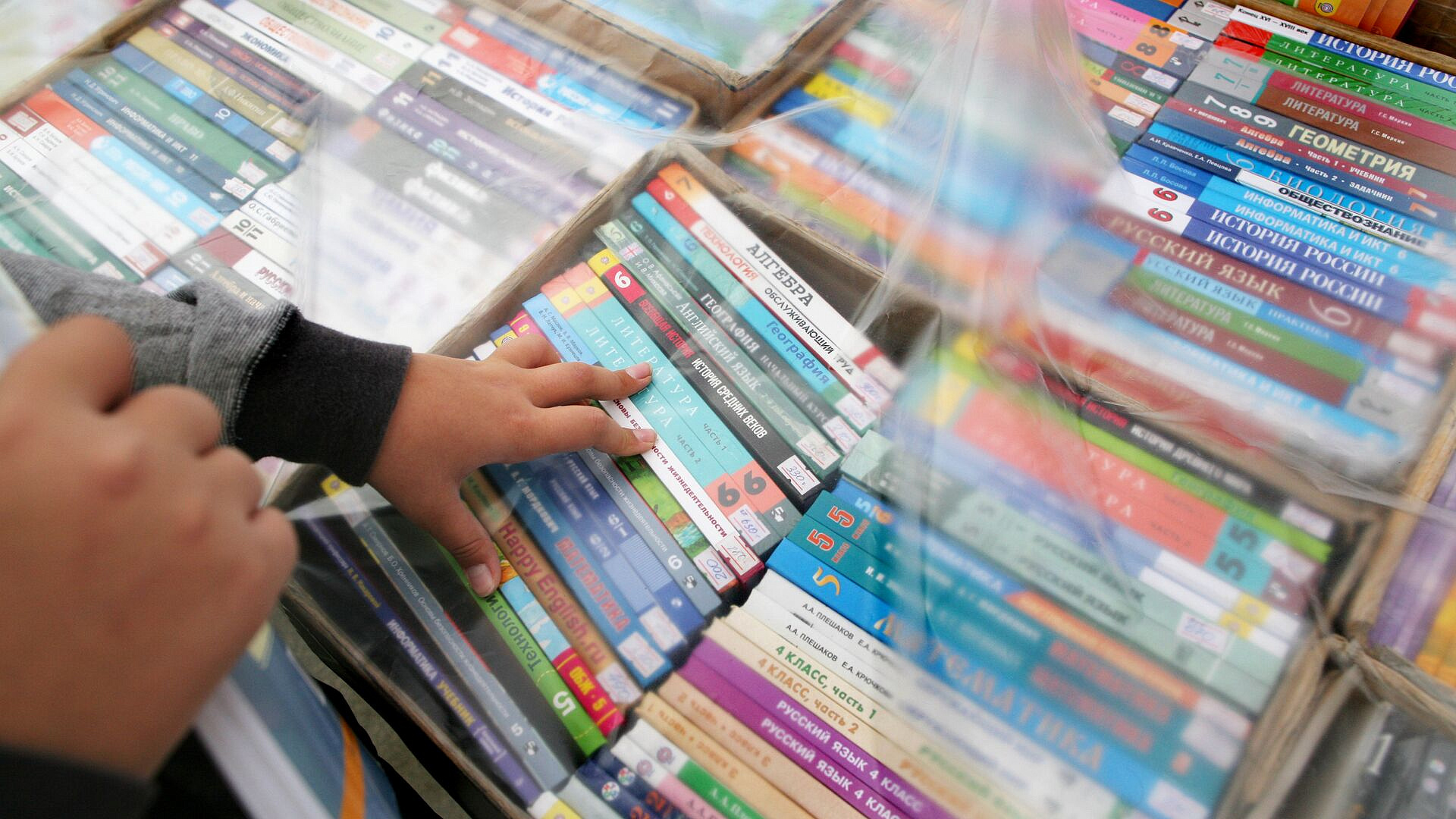 Новые учебники географии могут появиться к 2028 году, заявил Шойгу