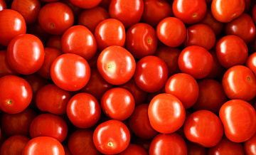 Россия вчетверо нарастила импорт томатов из Казахстана