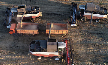 Российский АПК успешно решает задачи в условиях санкций, заявил Мишустин