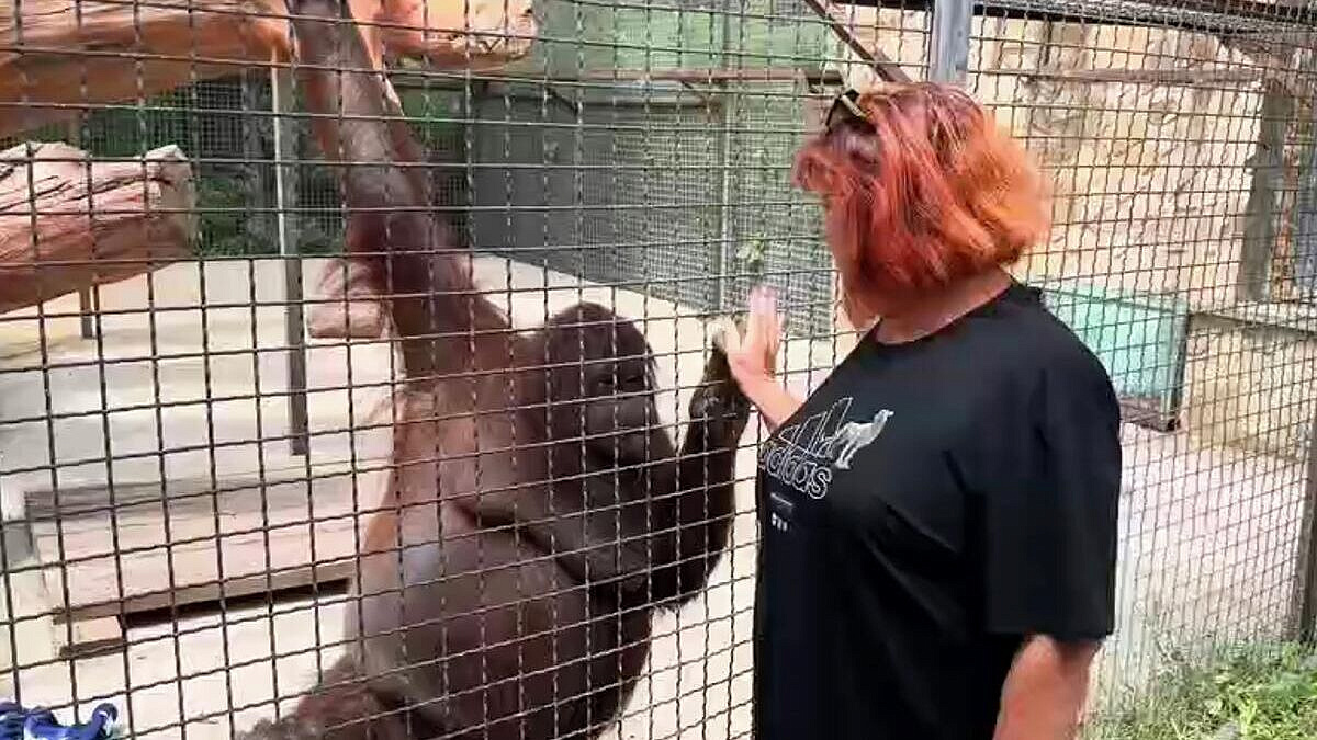 ���� ��������� � ������������ �������� ����, ������� ���� �������� ����