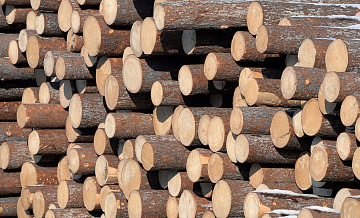 Южная Корея увеличила импорт топливной древесины из России