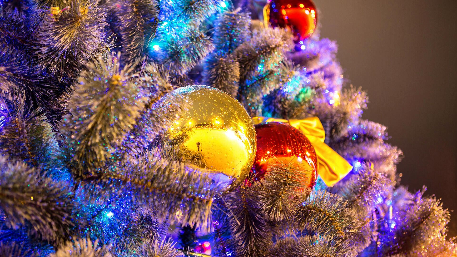 �������� ������ ����������� ��������� ������� �������