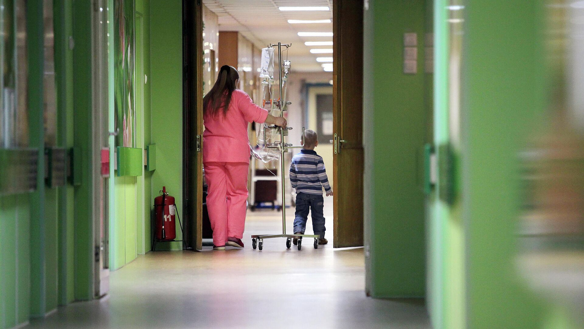 � ������ ������� ����� 83 ��������� ����� � ��������������� �������������