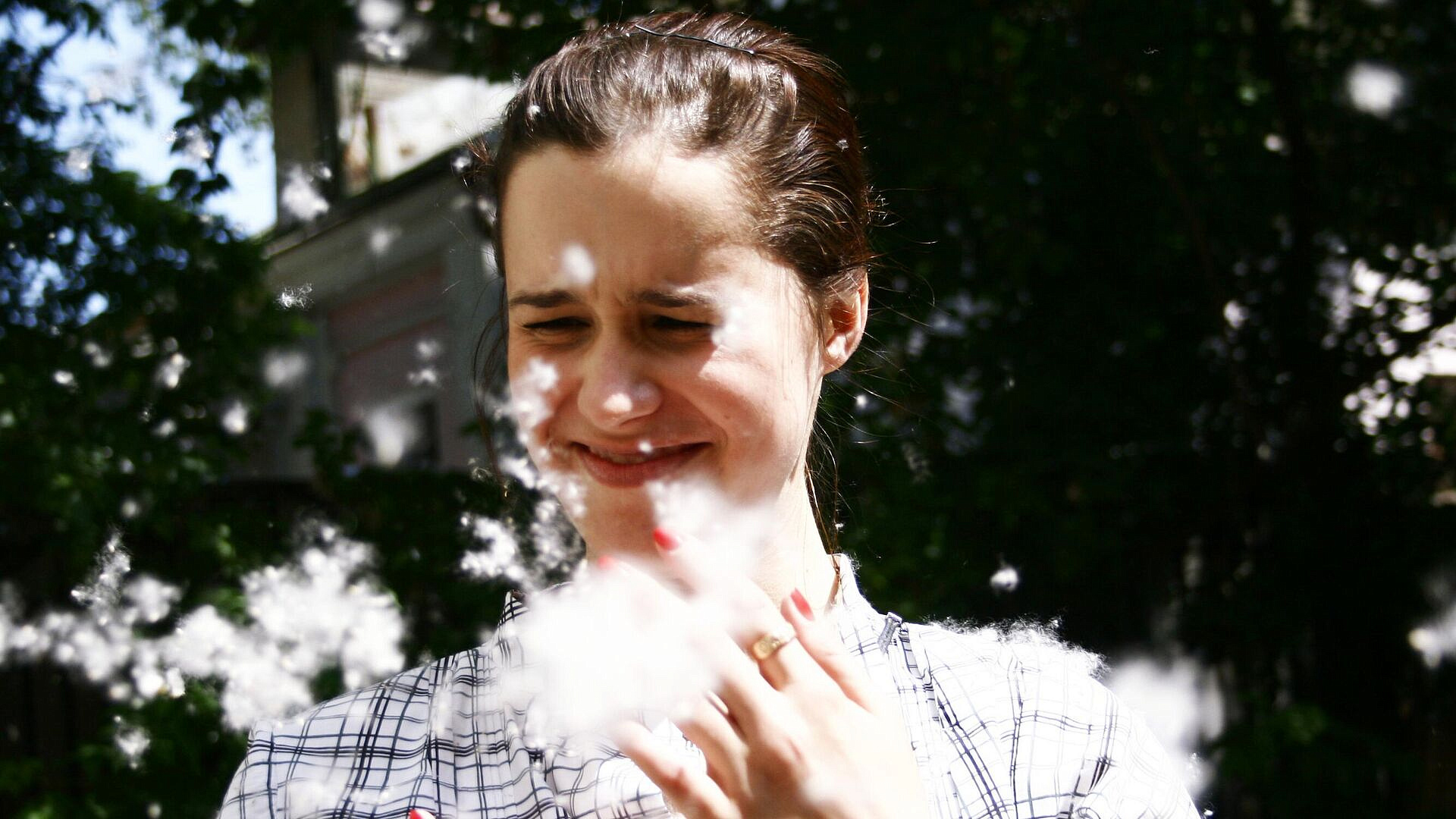 Японские ученые нашли в чае матча спасение от симптомов аллергии