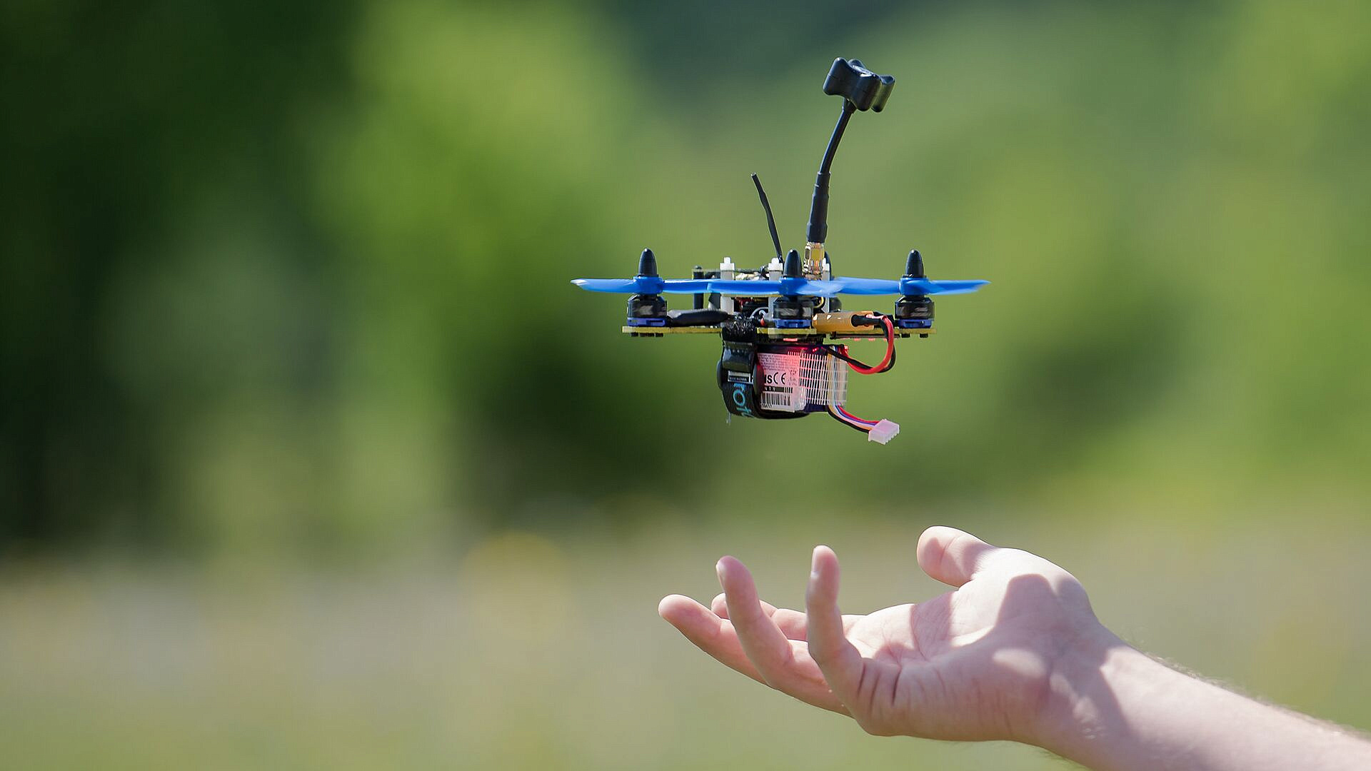 ����������� ��������� � ������ �� ��������������� ����������� �����������