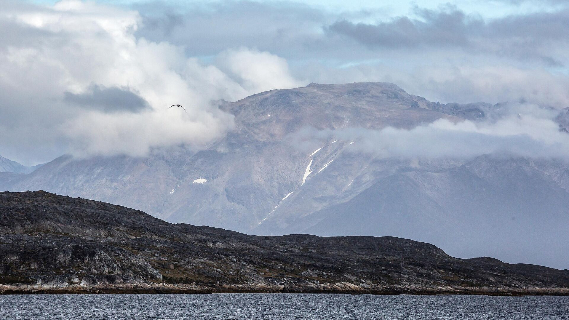 ����� ��� ��������� � ���������� �������� �������� ��� �����������