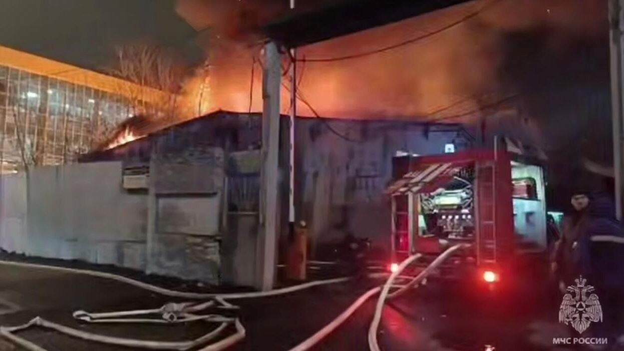 �� ���-������� ������ �������� ����� � ��������������