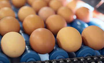В АКРА спрогнозировали, когда перестанут дешеветь куриные яйца 