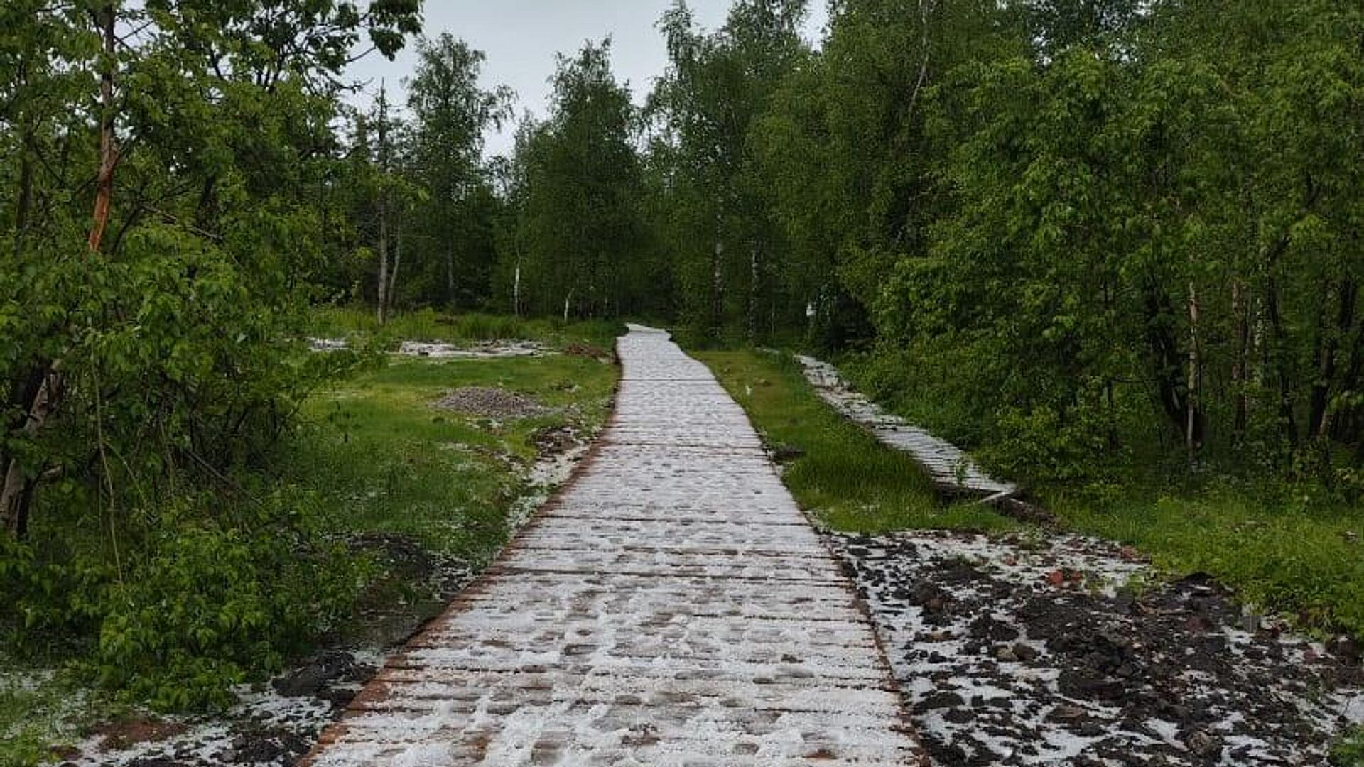 � �������� ���� ����� ���� 