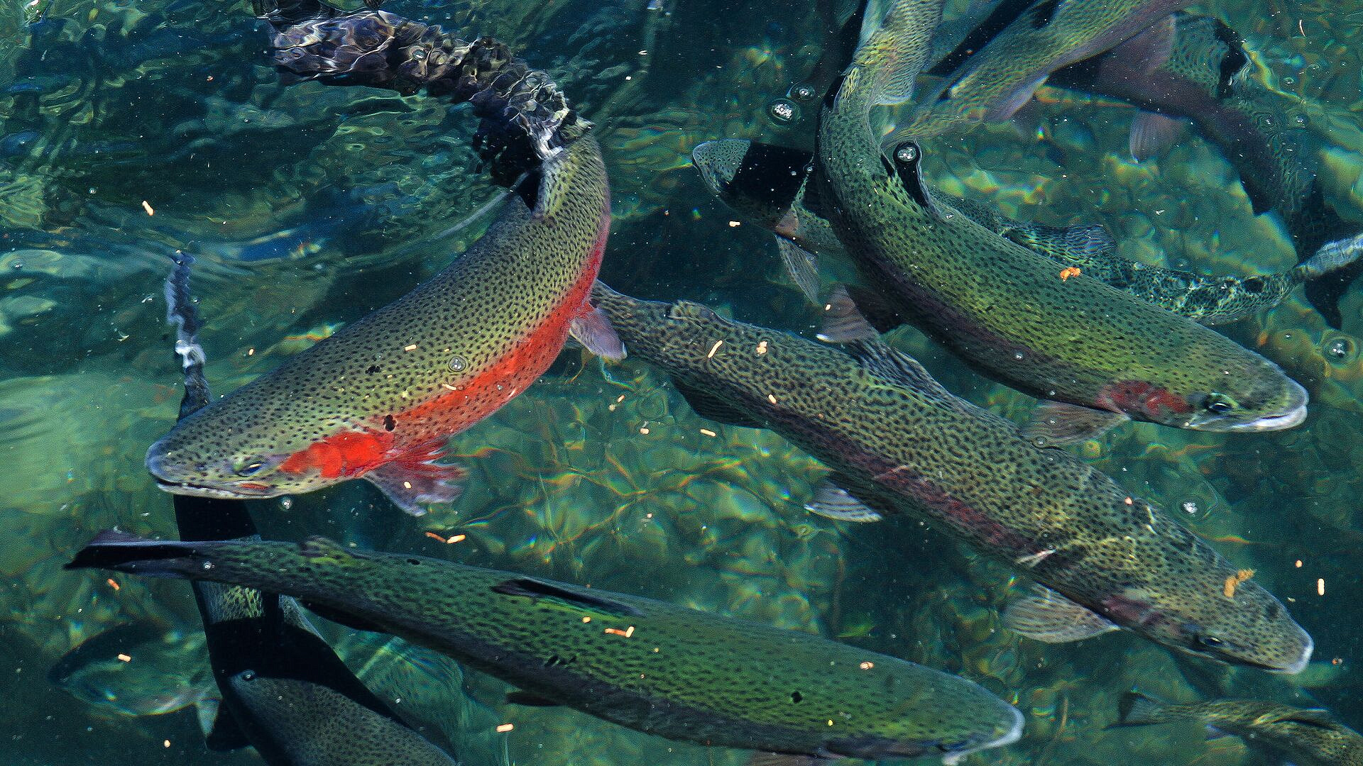 ������������� �� ������ �������� ���������� �� ������ ������ �� ������