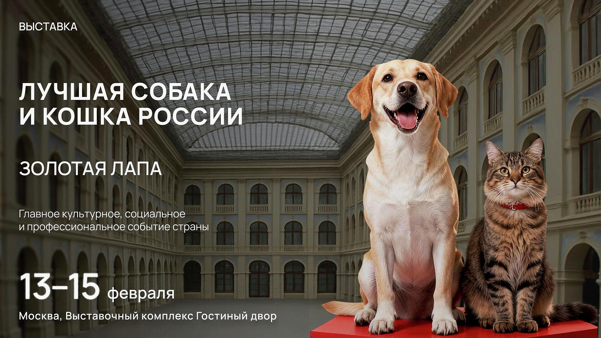 � ������ ������� �������� "������ ������ � ����� ������"