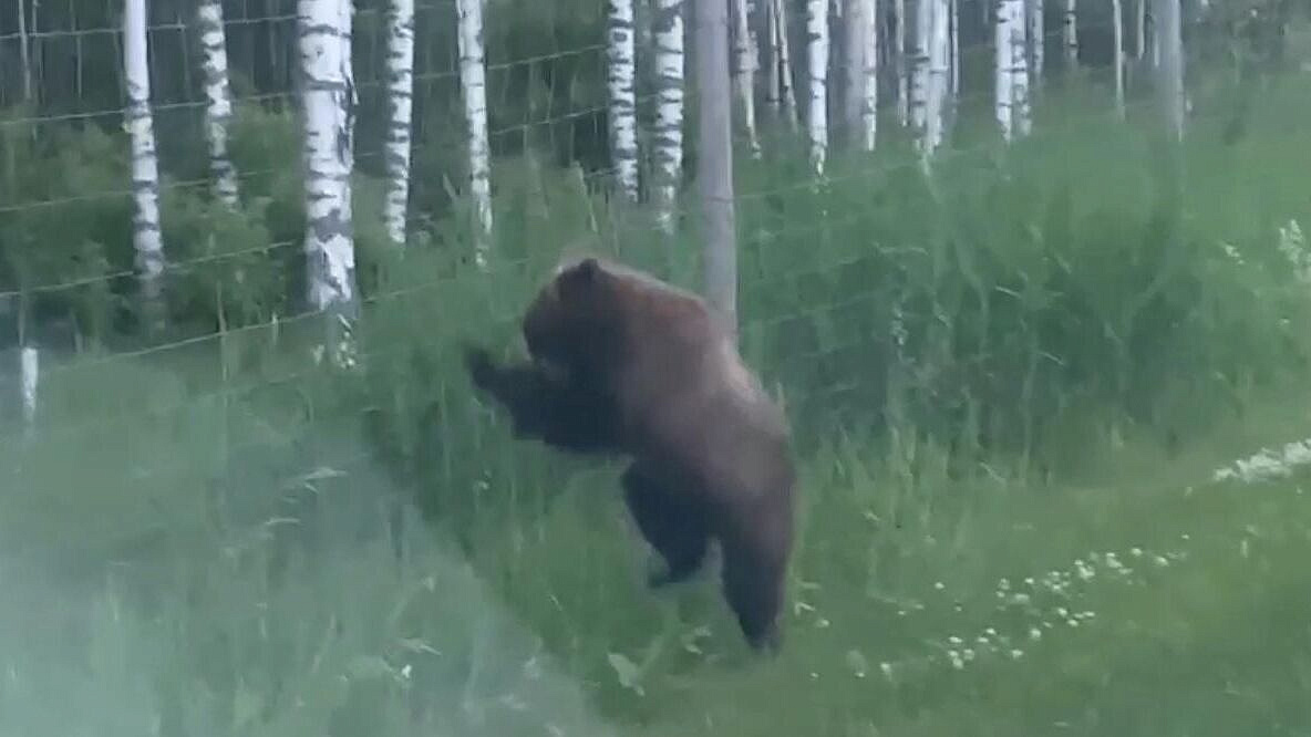 ������������ ������� �����, ������ ������� � ��������� ������� ���� �������