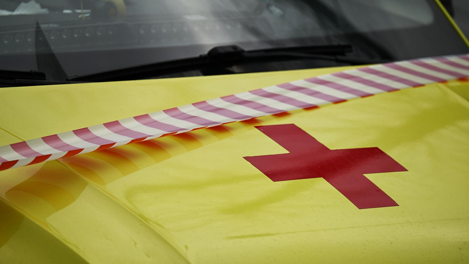 �� ������� ������������ ������ � ���������