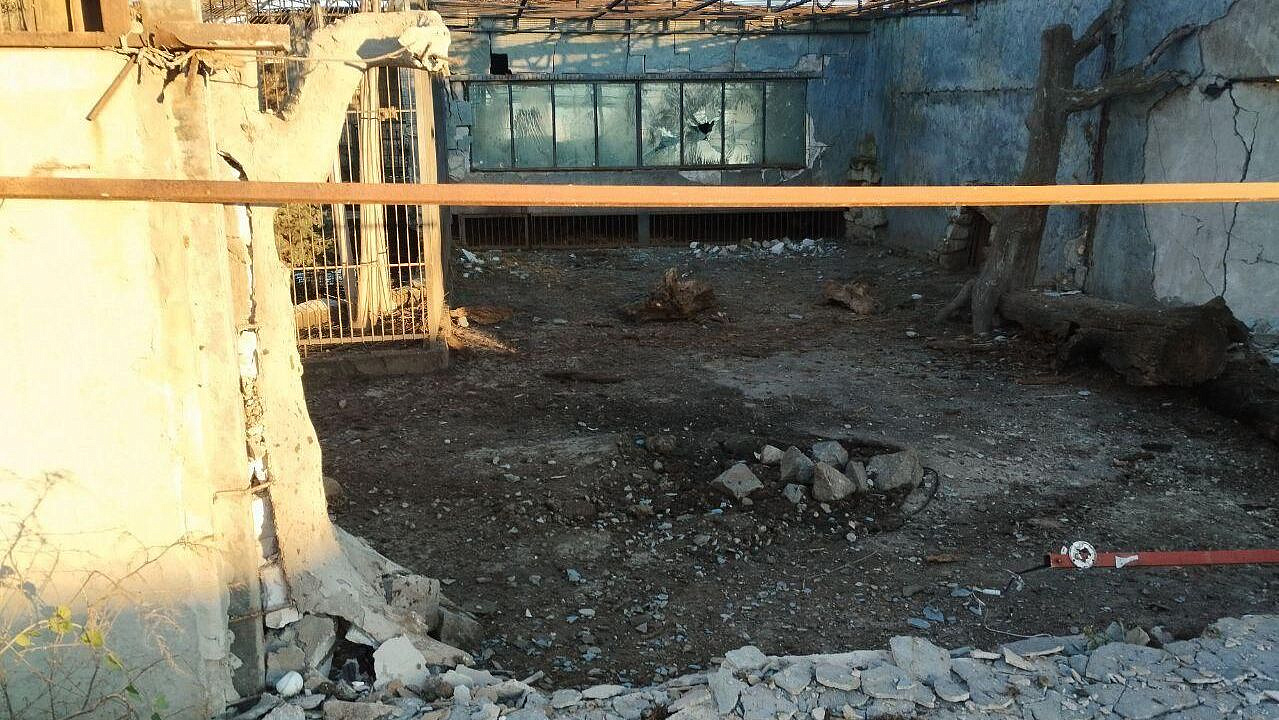 ������������ ��� ����� ��� �� ������� � ���������� ��� ����, ������ �����