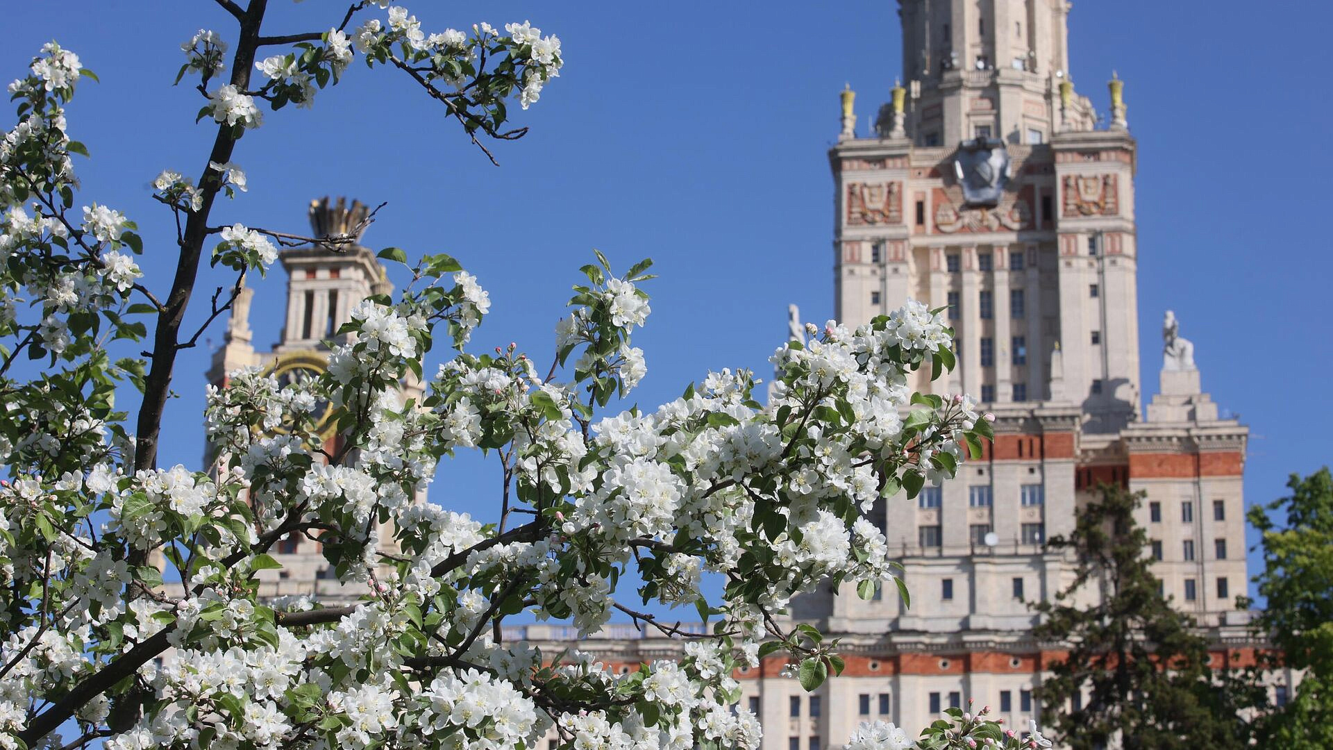 В Москве может обновиться весенний температурный рекорд