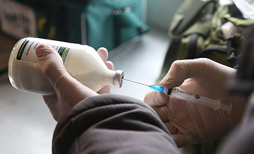 � ������ �������� ������������ ������������� �������� ��� ����