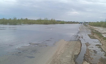 В Тюменской области вода из реки подтопила дорогу из Ишима