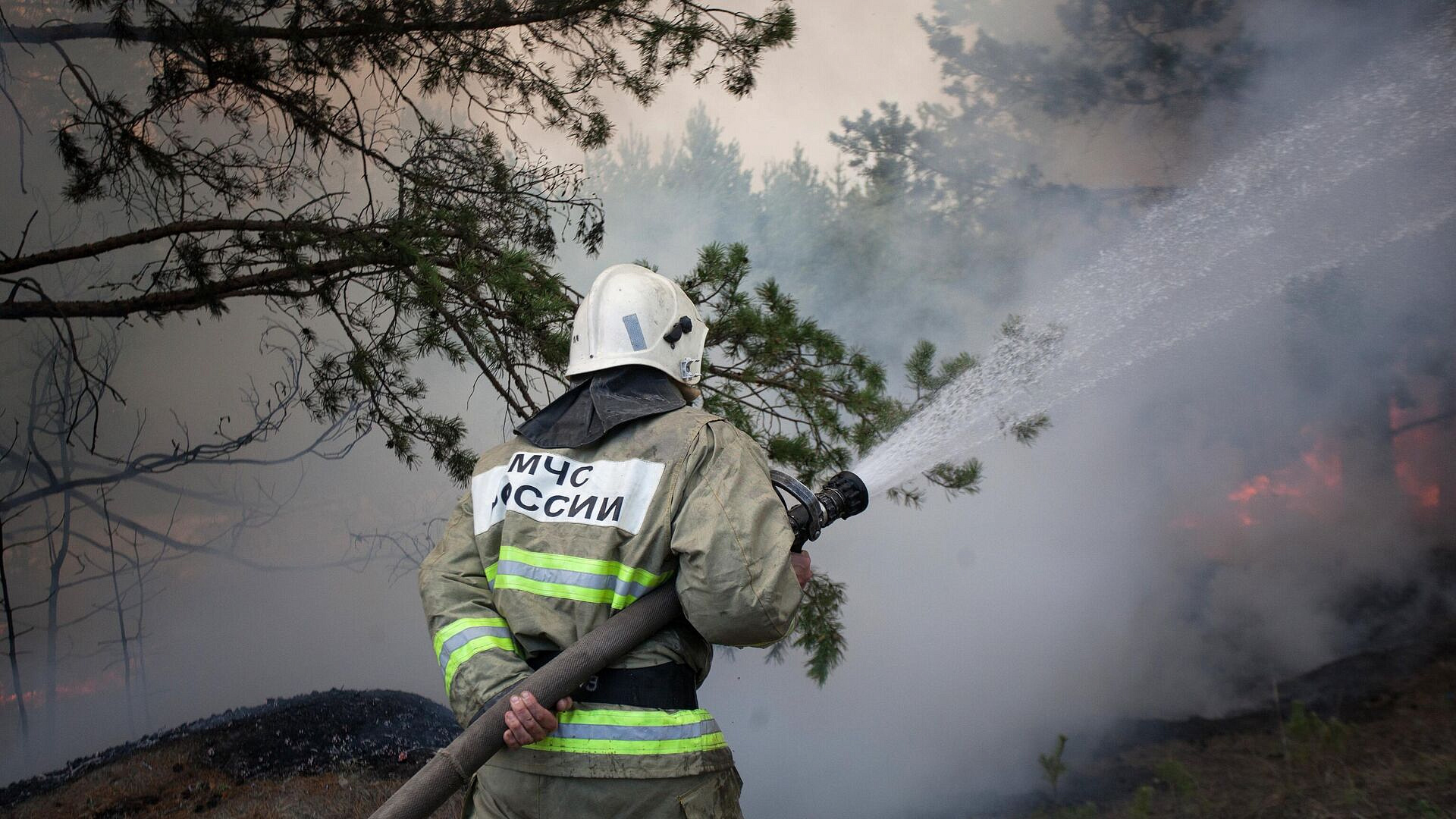 В Тюмени создали систему обнаружения торфяных пожаров
