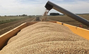 Российские аграрии захватывают мировые рынки