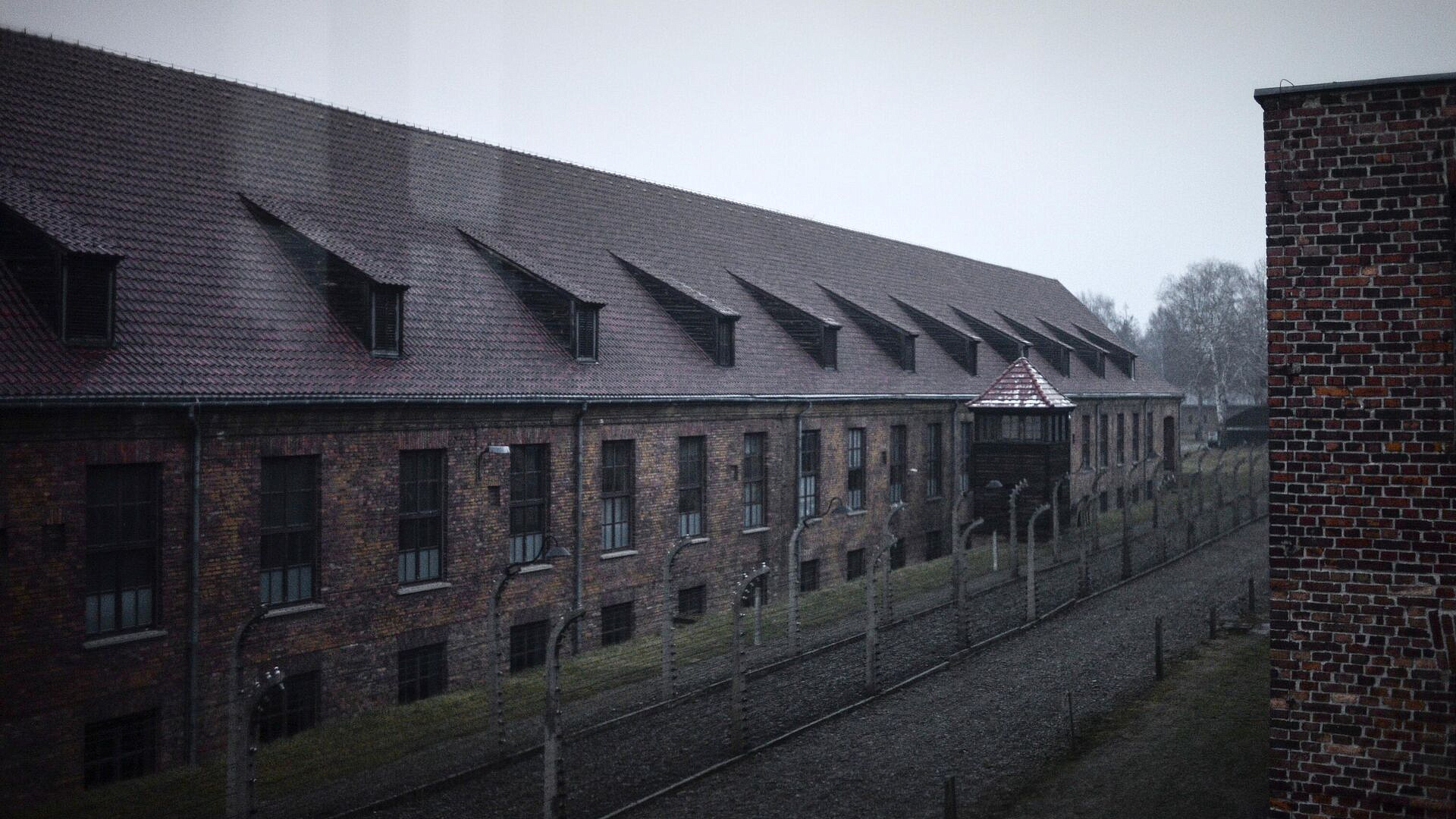 В фонде Печерского рассказали о руководителях подполья в Биркенау