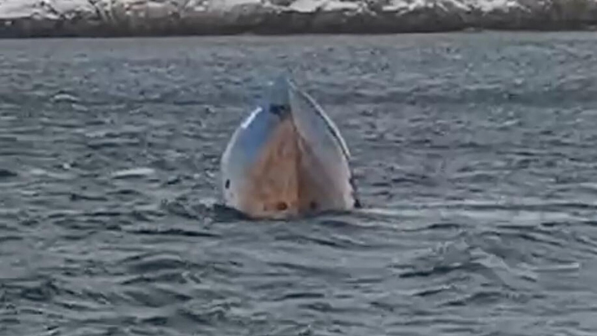 ��� ���������� �������� ���������������� � ��������� �����