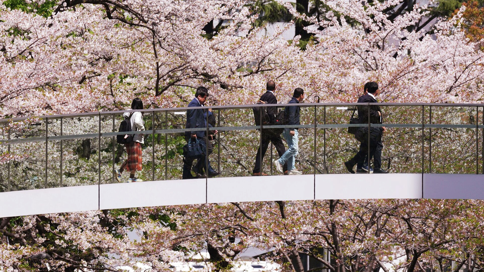 Туристов предостерегли от поездок в Японию на майские праздники