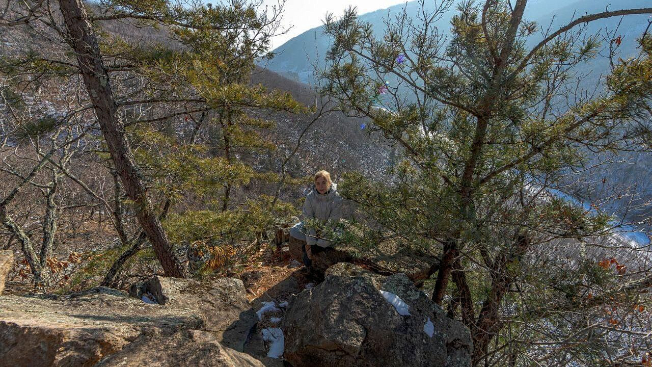 ������� ���������������� ���� ������� � �������� ������ �� ���� � �������� 