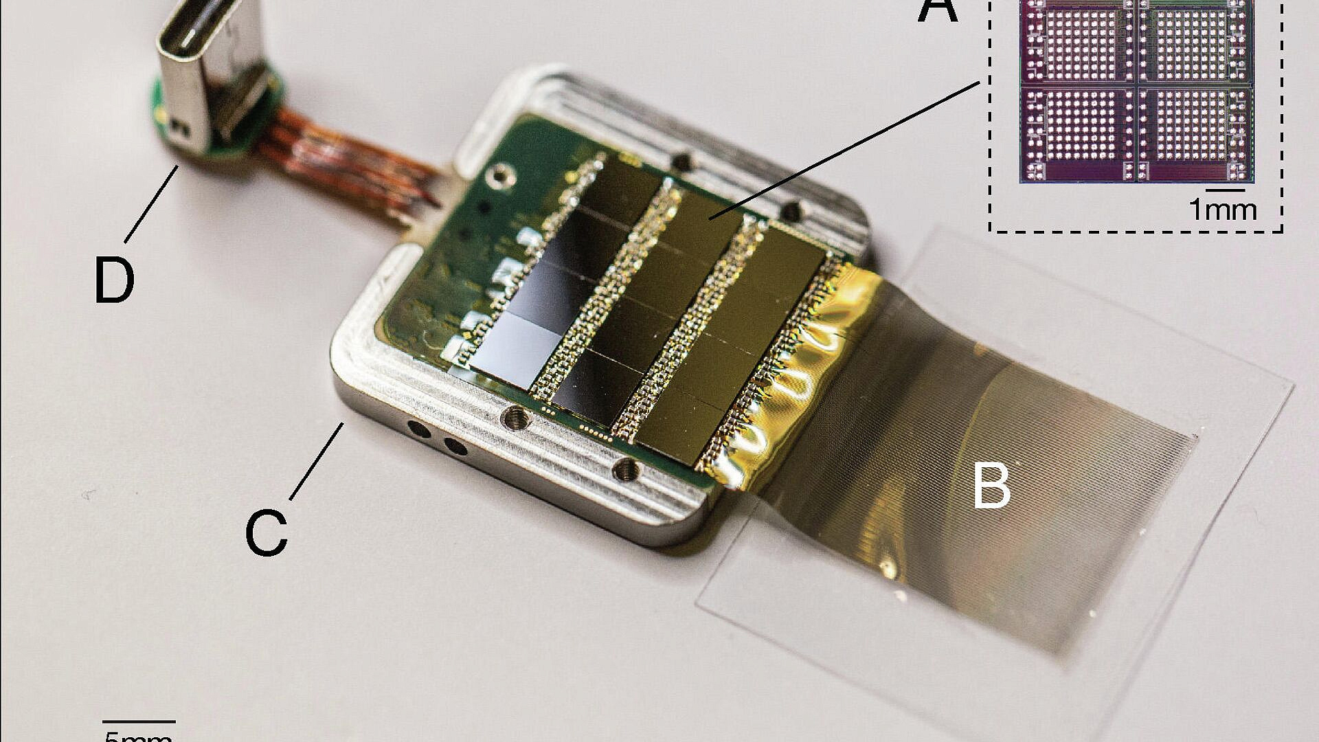     Neuralink ,   