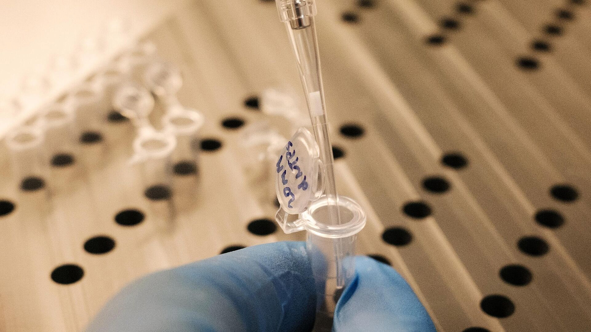 ��������������� ������ 124 ����� ����� �� ��������