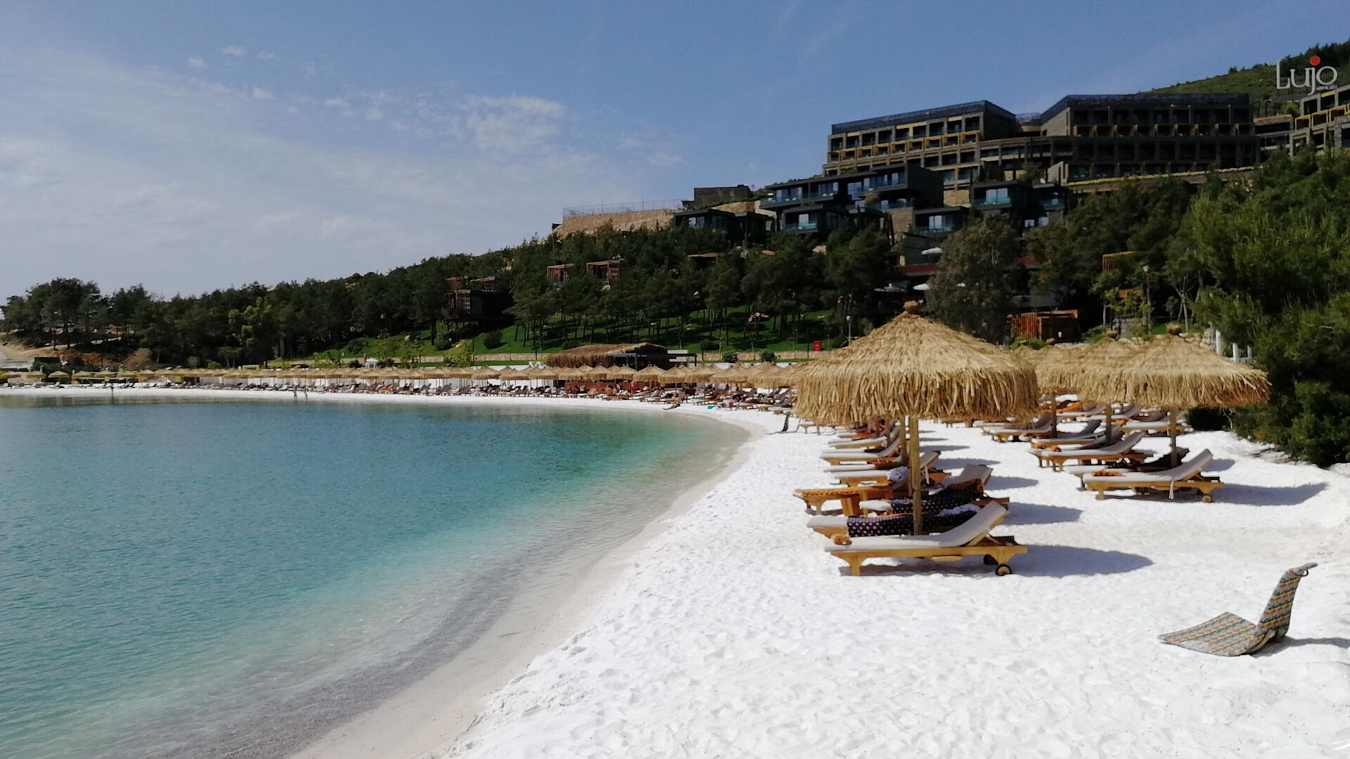 ����� � �������� ������� ������� ��-�� �������� ������� ���