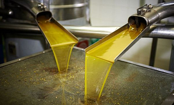 Россия может занять первую позицию по экспорту подсолнечного масла