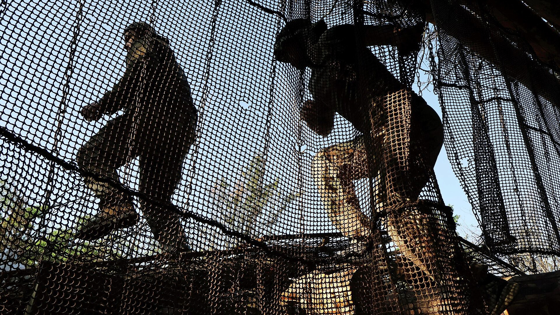 ��� �������� ������������� ��-�� ���������� ���������� ������ � ���������