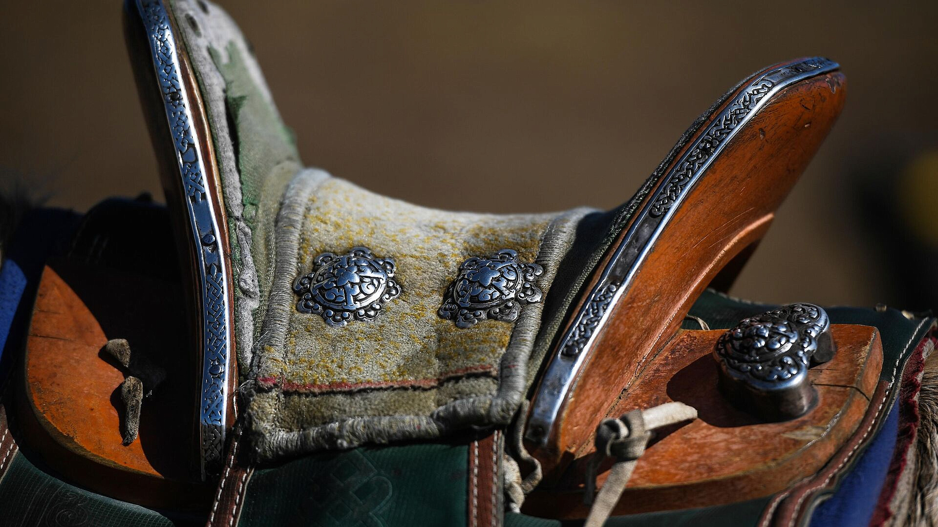 В каждом есть капля кочевой крови. В Москве пройдет выставка "Дикое поле"