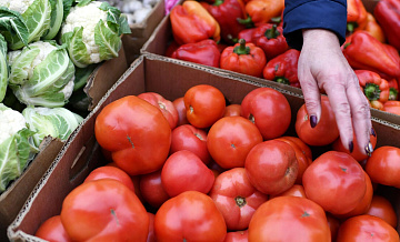 Российскую сельхозпродукцию поставляют в 150 стран