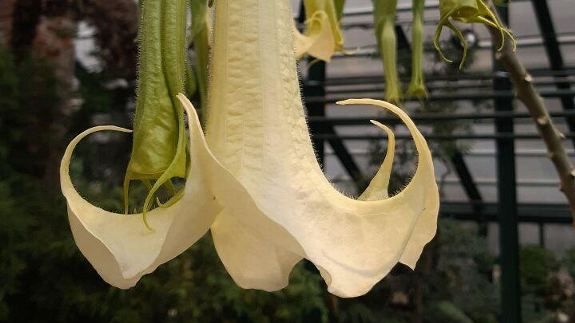 � ����������� ������� �������� "����� ������"