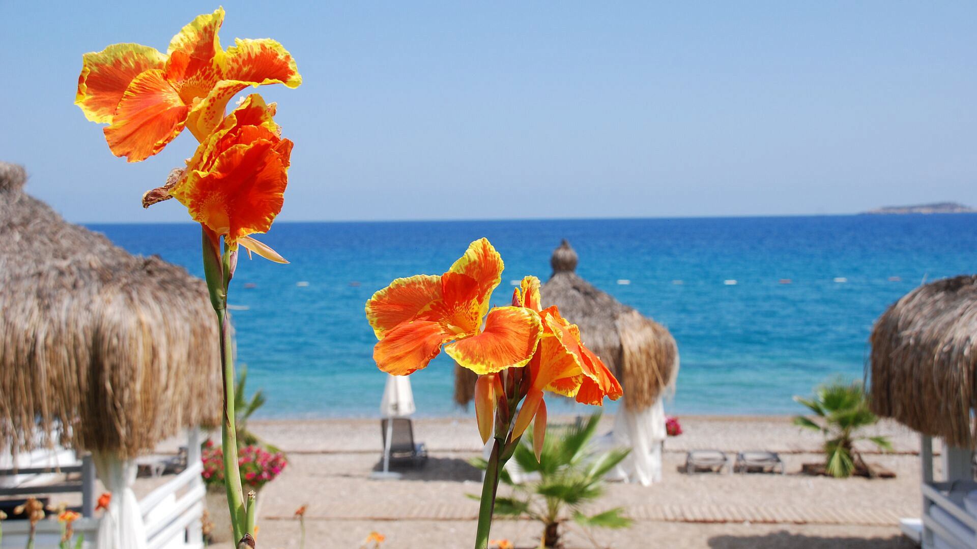 ������� ��������� ������� ������ � ������, ���� �������� ��� � �����