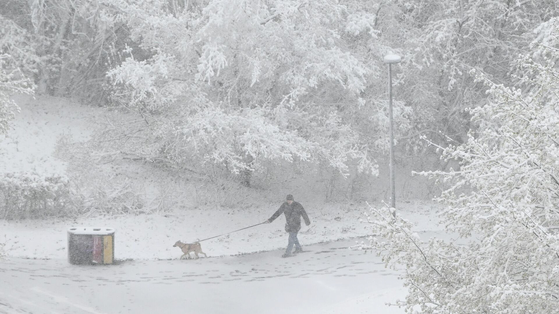 В Москве усилился снегопад