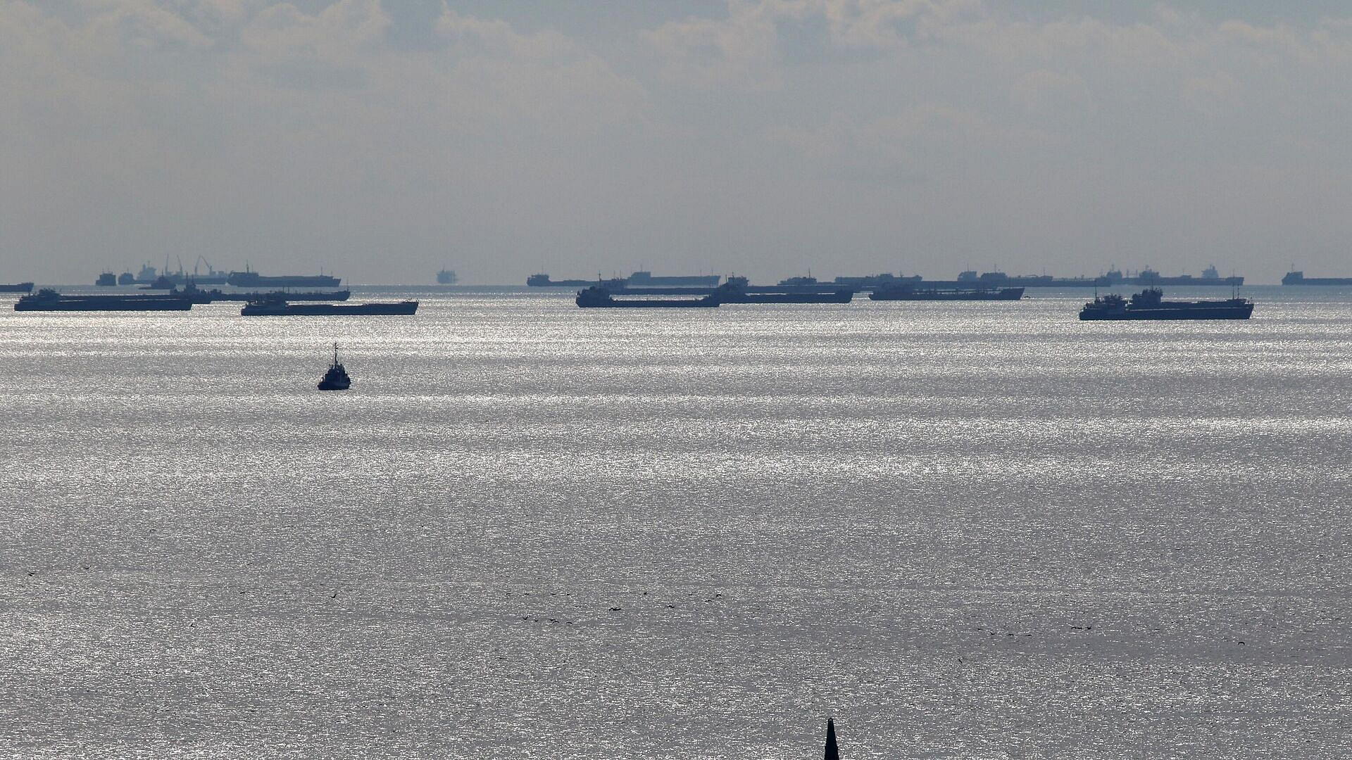 ��������� ������������� ������ �������� ������� ������� "���������� 239"