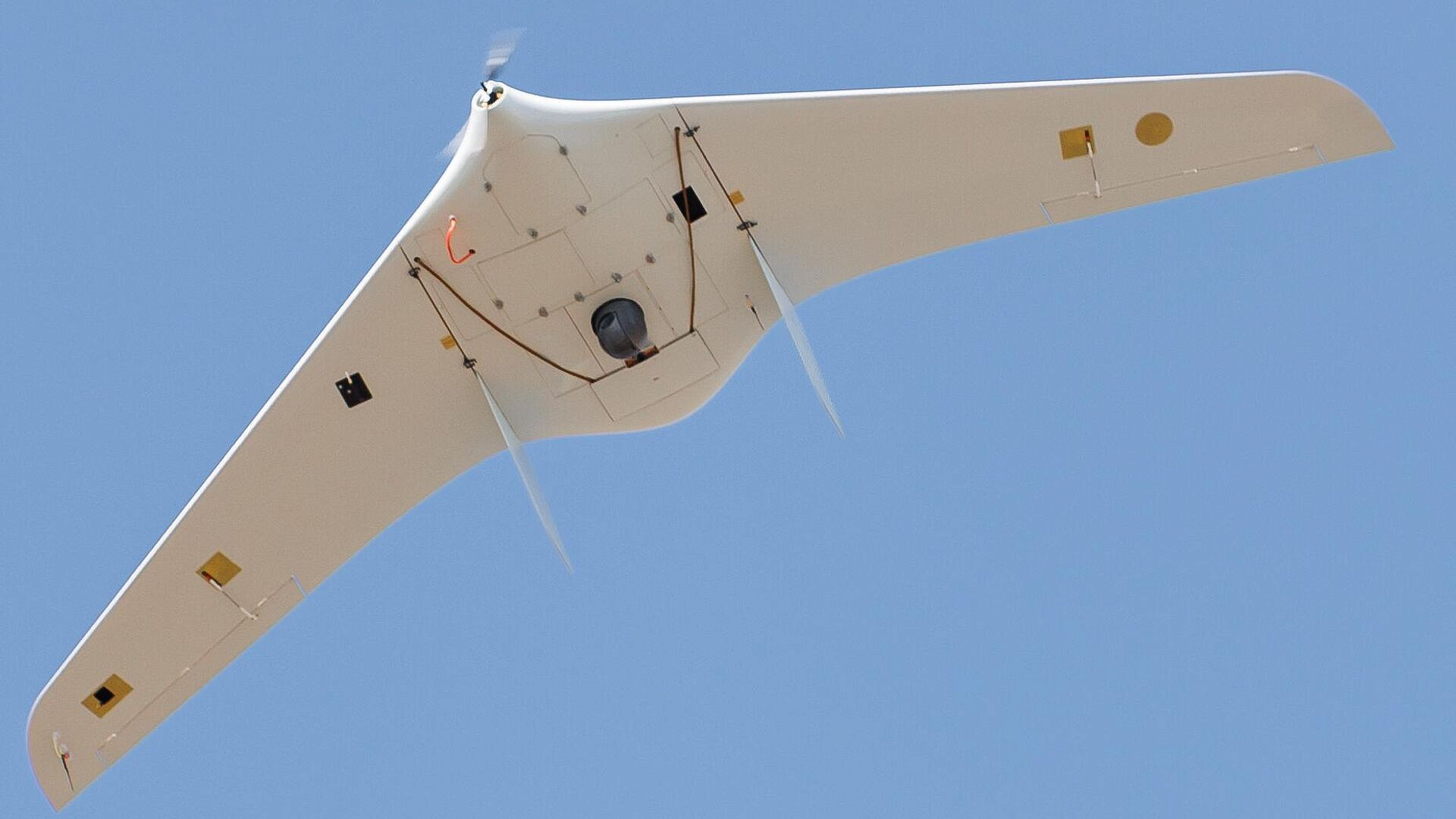 Платыгин назвал самую востребованную программу обучения среди ветеранов СВО