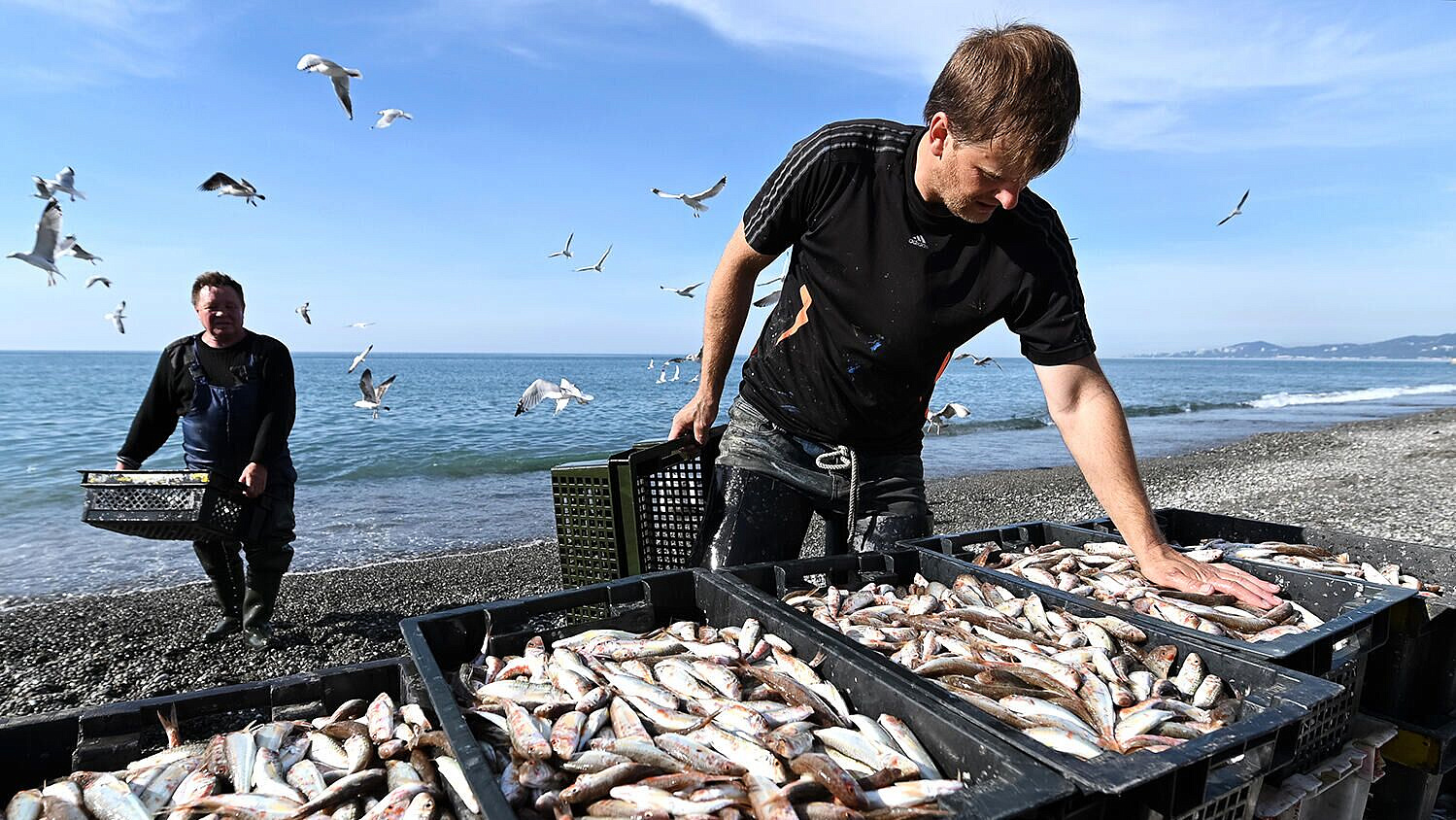 ����� ������� ����������� ������������� �������� ����� � ������