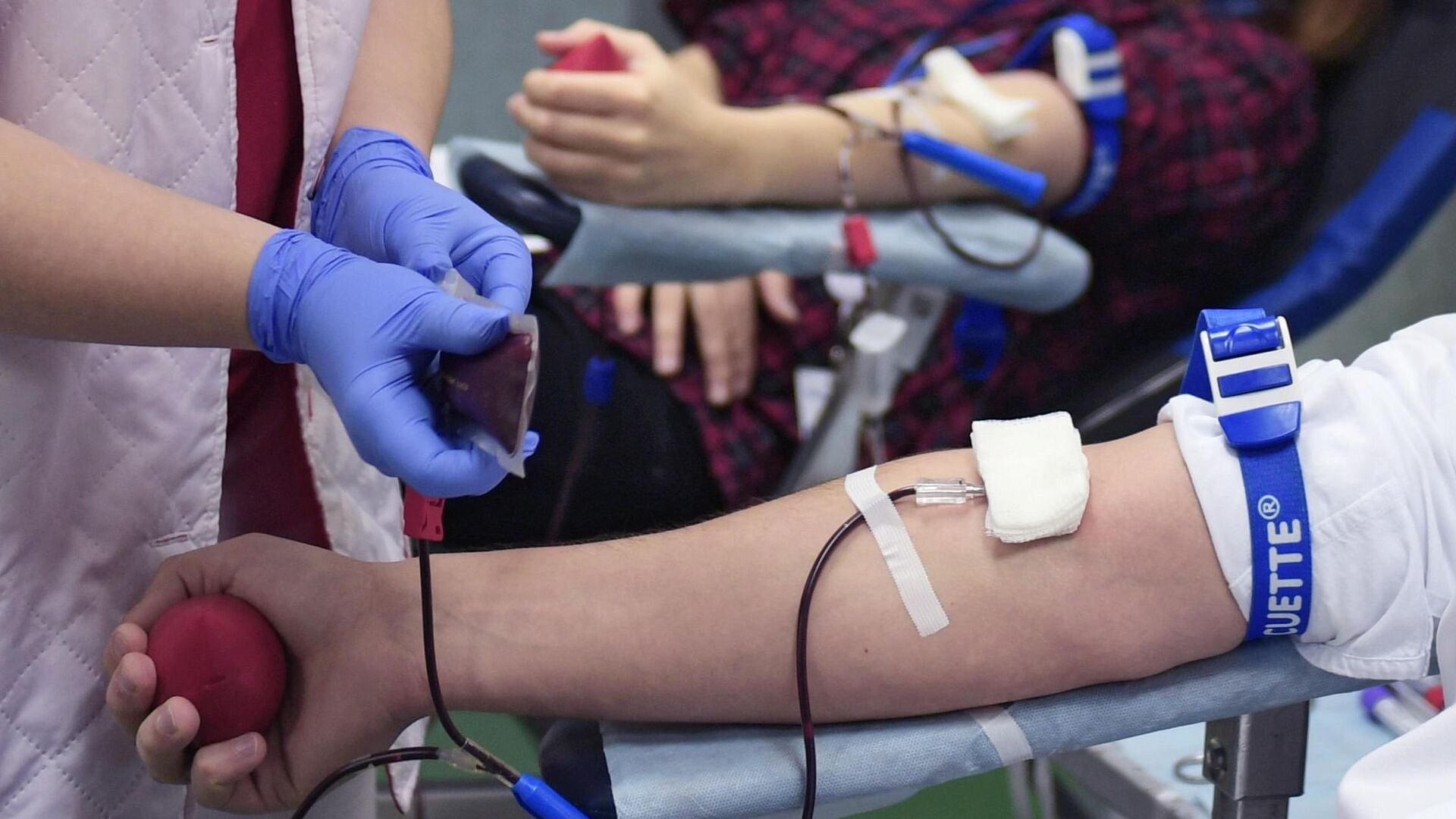 В Госдуме рассказали о льготах для почетных доноров крови