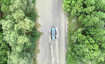 Эксперт назвала подходящий для поездок на дачу автомобиль