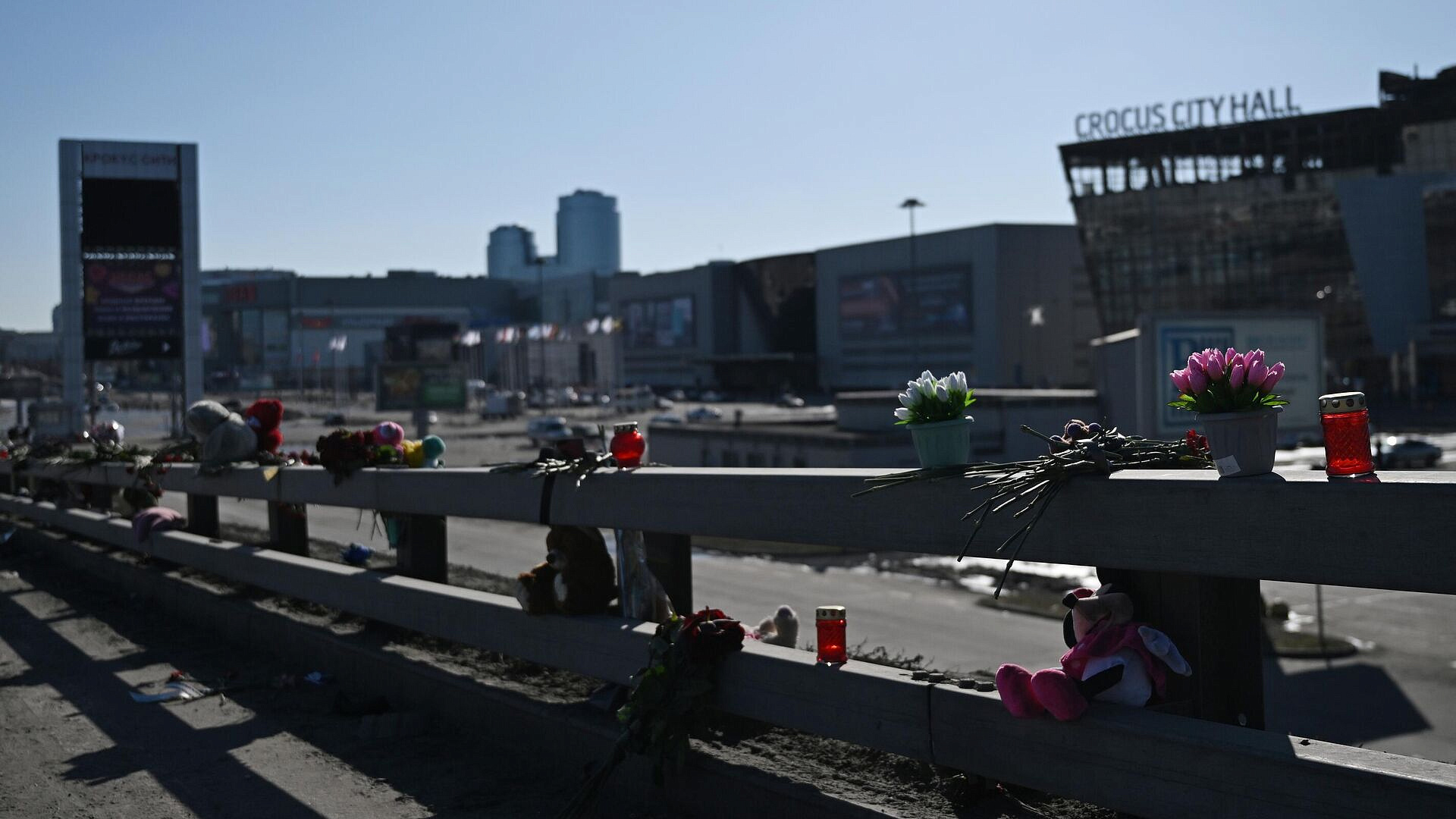 Патриарх высоко оценил солидарность россиян после теракта в "Крокусе"