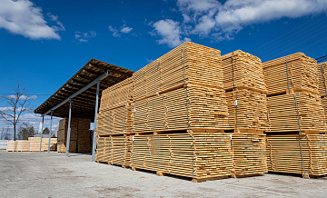 Биржевой экспорт белорусских пиломатериалов вырос почти вдвое в 2023 году