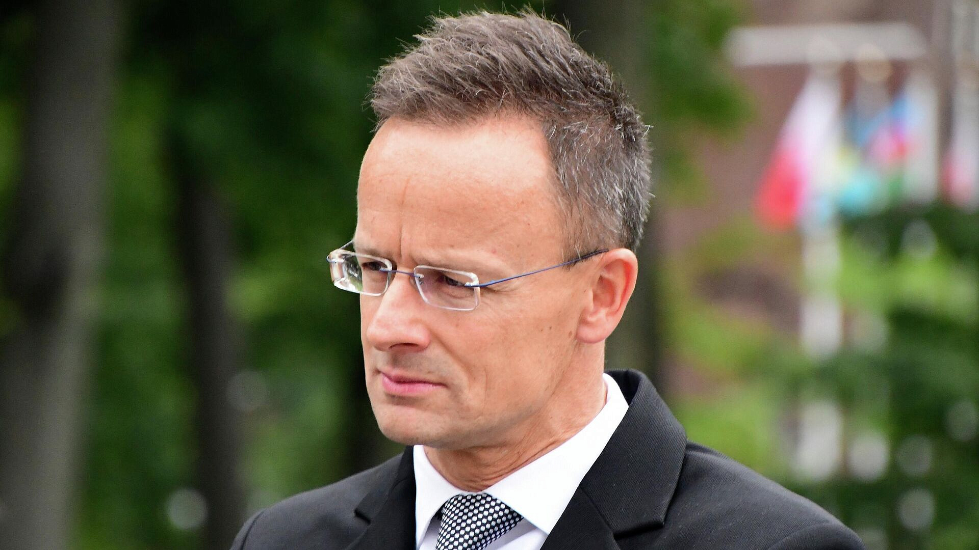 ������� ���������������� ������������� ��������� ������� �� �������