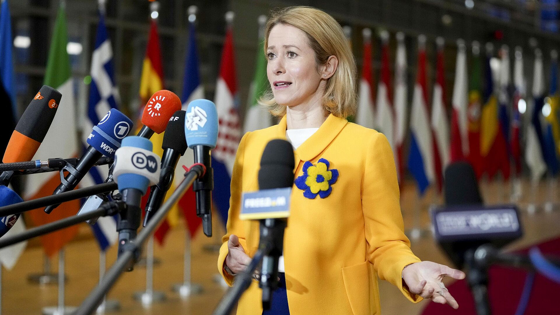 ������ �������� ������ ���������� ��������� ������� ������ �� �������