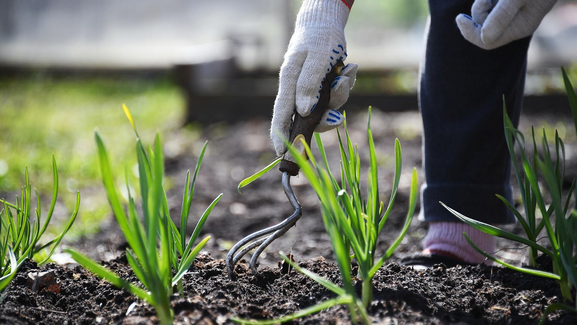 ������ �������� ��������� �� ������ 2026 ����: ������������� ��� ��� ������