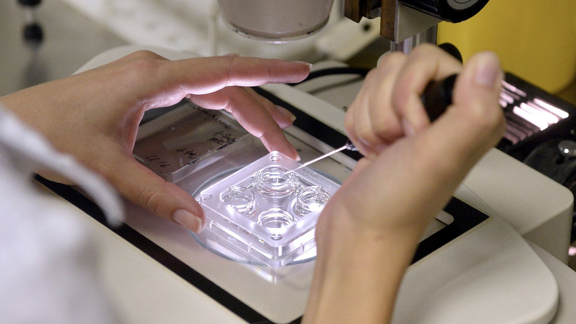 �������� �������� ����������� ������������ ��������� ��� ������� ���������